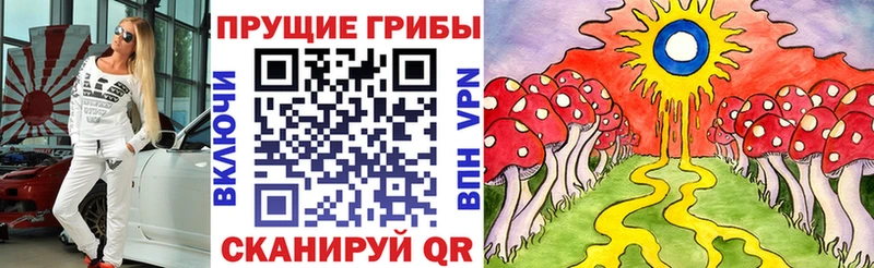 Купить где  Усть-Джегута  Галлюциногенные грибы Psilocybine cubensis 